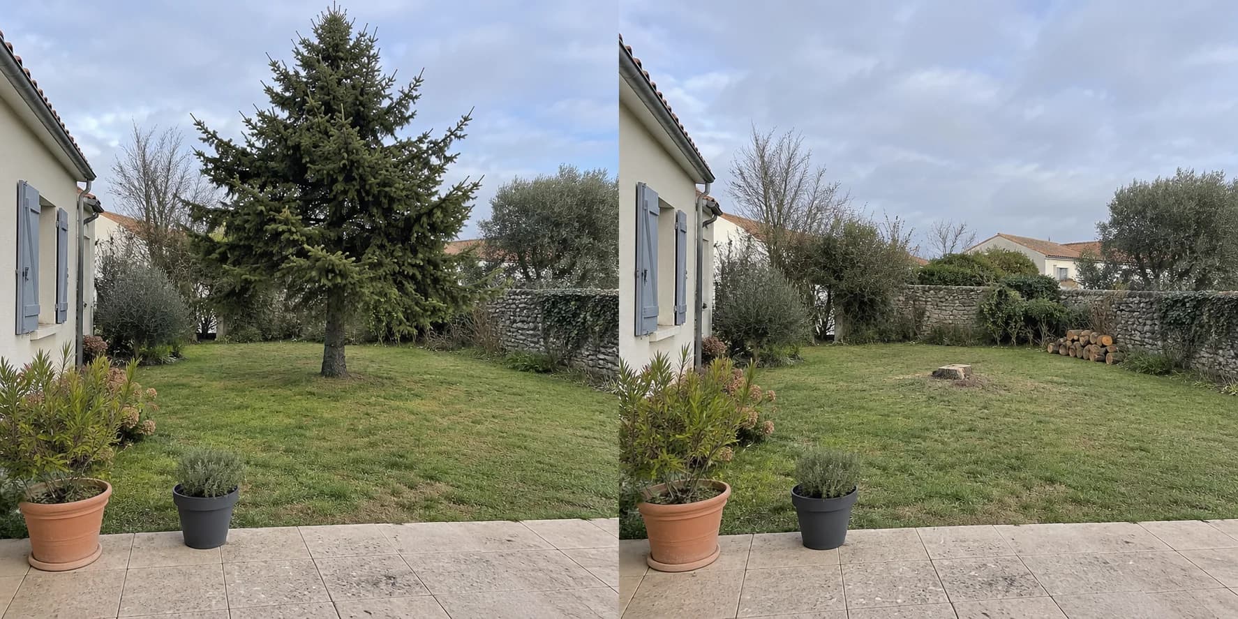 Avant — simulation : abattage d’un conifère dans un jardin, avec souche conservée