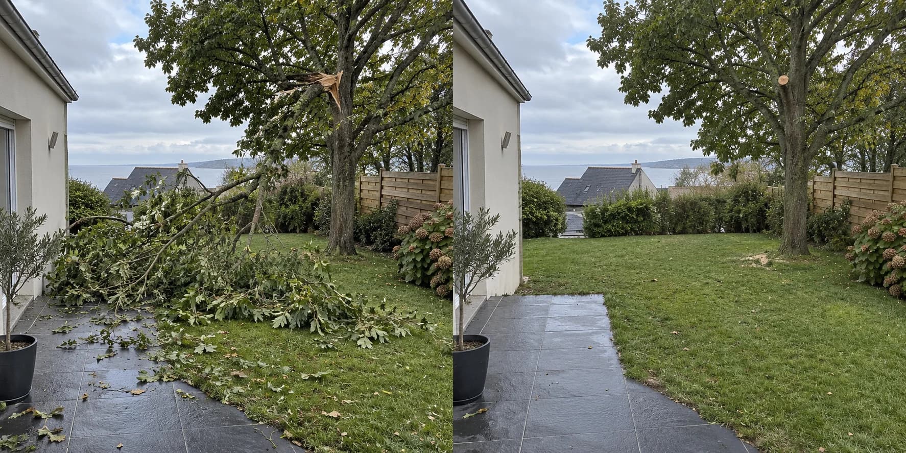 Avant — simulation : enlèvement d’une branche tombée dans un jardin après une tempête